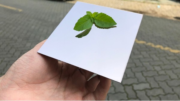 不銹鋼鏡面如有劃痕怎么處理？